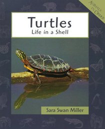 Turtles: Life in a Shell (Animals in Order)