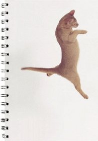 Dancing with Cats Solo Cat Journal