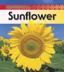 Sunflower: 2nd Edition (Life Cycle of a)