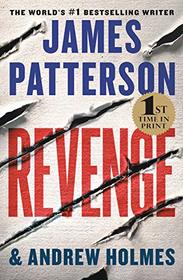 Revenge (David Shelley, Bk 1)