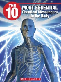 The 10 Most Essential Chemical Messengers in the Body