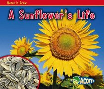 Sunflower. Nancy Dickmann (Watch It Grow)