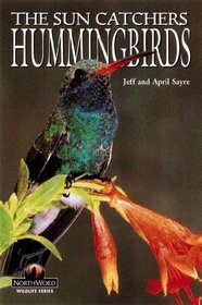Hummingbirds: The Sun Catchers (Wildlife Series (Minocqua, Wis.).)