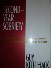 Second-Year Sobriety: Getting Comfortable Now That Everything Has Changed (Harpe Sobriety, Vol 2)