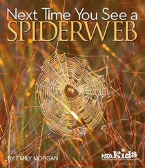 Next Time You See a Spiderweb