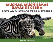 Muchas, Muchisimas Raya's De Cebra / Lots & Lots of Zebra Stripes