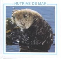 Nutrias De Mar (Mamifero Marino)