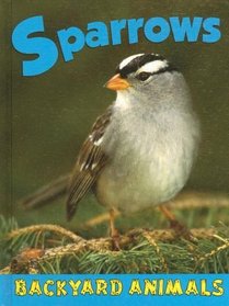 Sparrows (Backyard Animals)