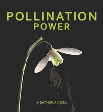 Pollination Power