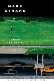 Almost Invisible: Poems