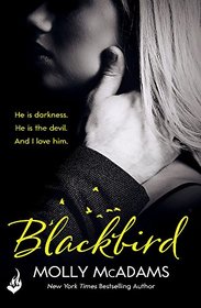 Blackbird: A Redemption Novel (Redemption Series)