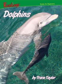 Dolphins (Marine Animals)