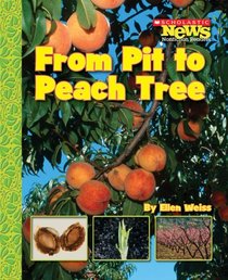 From Pit to Peach Tree (Scholastic News Nonfiction Readers: How Things Grow)