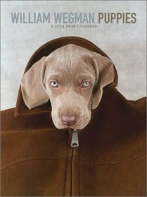 William Wegman Puppies 2004 Desk Calendar