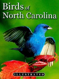 Birds of North Carolina