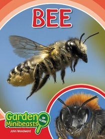 Bee (Garden Minibeasts Up Close)