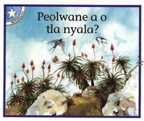 Peolwane a O Tla Nyala?: Gr 1: Reader (Children's stories)