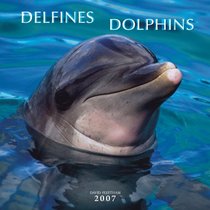 Delfines/dolphins 2007 Calendar