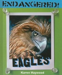 Eagles (Endangered!)