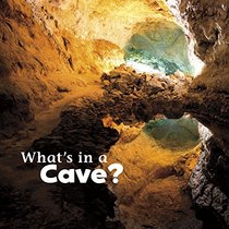 What's in a Cave? (What's In There?)