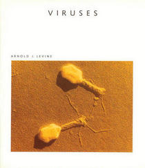 Viruses (Scientific American Library, No 37)