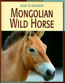 Mongolian Wild Horse (Road to Recovery)