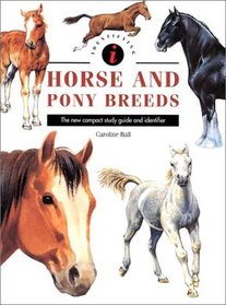 Identifying: Horse and Pony Breeds (Identifying Guide)