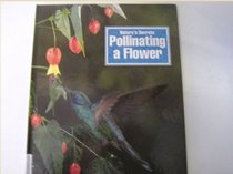 Pollinating a Flower (Nature's Secrets)
