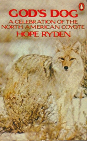 God's Dog: A Celebration of the North American Coyote