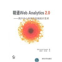 Web Analytics 2.0: The Art of Online Accountability and Science of Customer Centricity- Chinese Edition