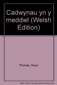 Cadwynau yn y meddwl (Welsh Edition)
