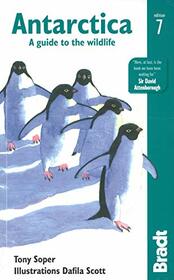 Antarctica: A Guide to the Wildlife (Bradt Travel Guide)