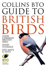 Collins BTO Guide to British Birds