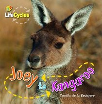 Joey to Kangaroo (Lifecycles)