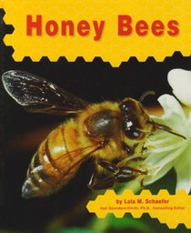Honey Bees (Honey Bees) (Schaefer, Lola M., Honey Bees.)