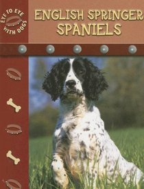 English Springer Spaniels (Eye to Eye With Dogs)