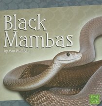 Black Mambas (First Facts)