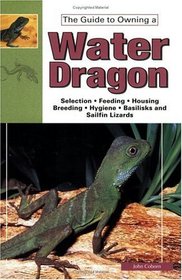 The Guide to Owning Water Dragons, Sailfin Lizards  Basilisks