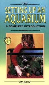 Setting Up an Aquarium: A Complete Introduction