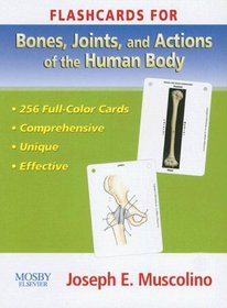Flashcards for Bones, Joints and Actions of the Human Body