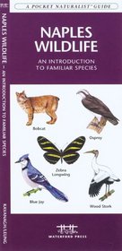Naples Wildlife: An Introduction to Familiar Species of Naples FL (Pocket Naturalist - Waterford Press)