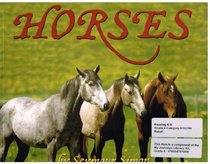 Journeys: Trade Book Grade 4 Grade 4 Horses