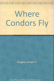 Where Condors Fly