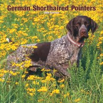 German Shorthaired Pointers 2008 Square Wall Calendar