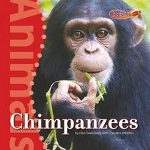 Chimpanzees (Benchmark Rockets)