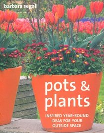 Pots and Plants: Inspired Year-round Ideas for Your Outside Space