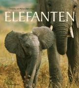 Elefanten