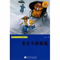Selected Works of Fiction [Paperback](Chinese Edition)
