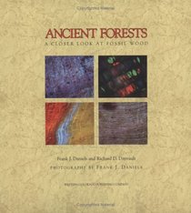 Ancient Forests: A Closer Look at Fossil Wood