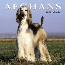 Afghans 2005 Wall Calendar